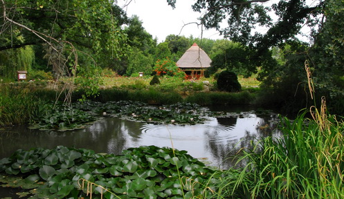Botanical Garden Of Univeristy Of Szeged