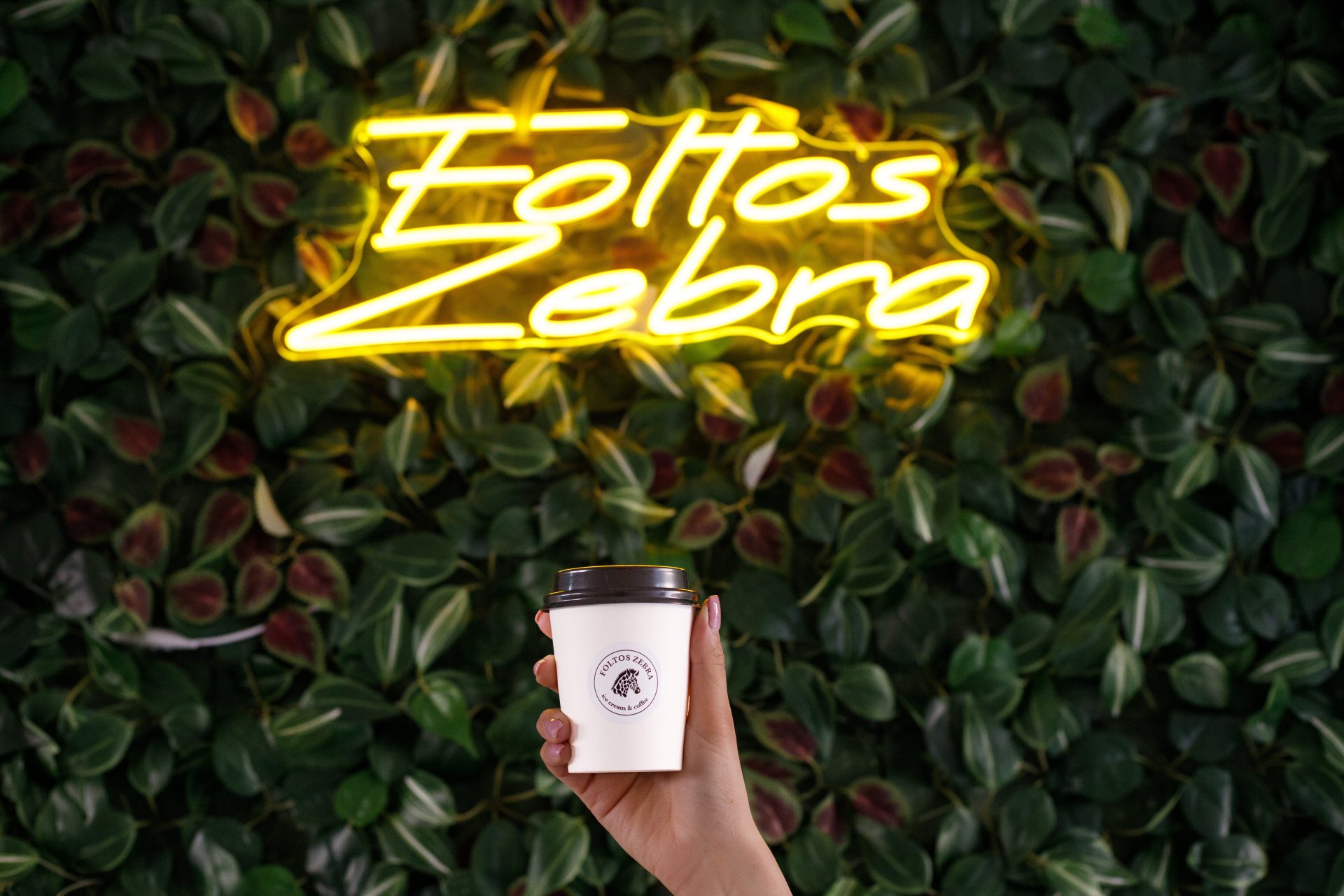 Foltos Zebra – fagyizó & kávézó