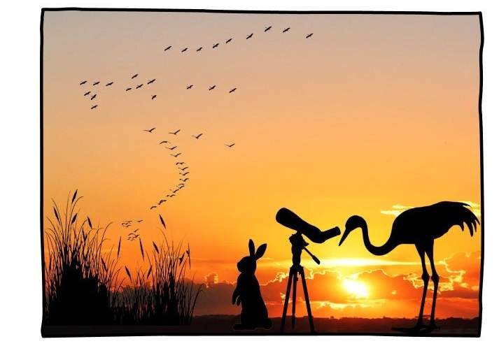 Szilveszteri darules a szegedi Fehér-tónál 12.27