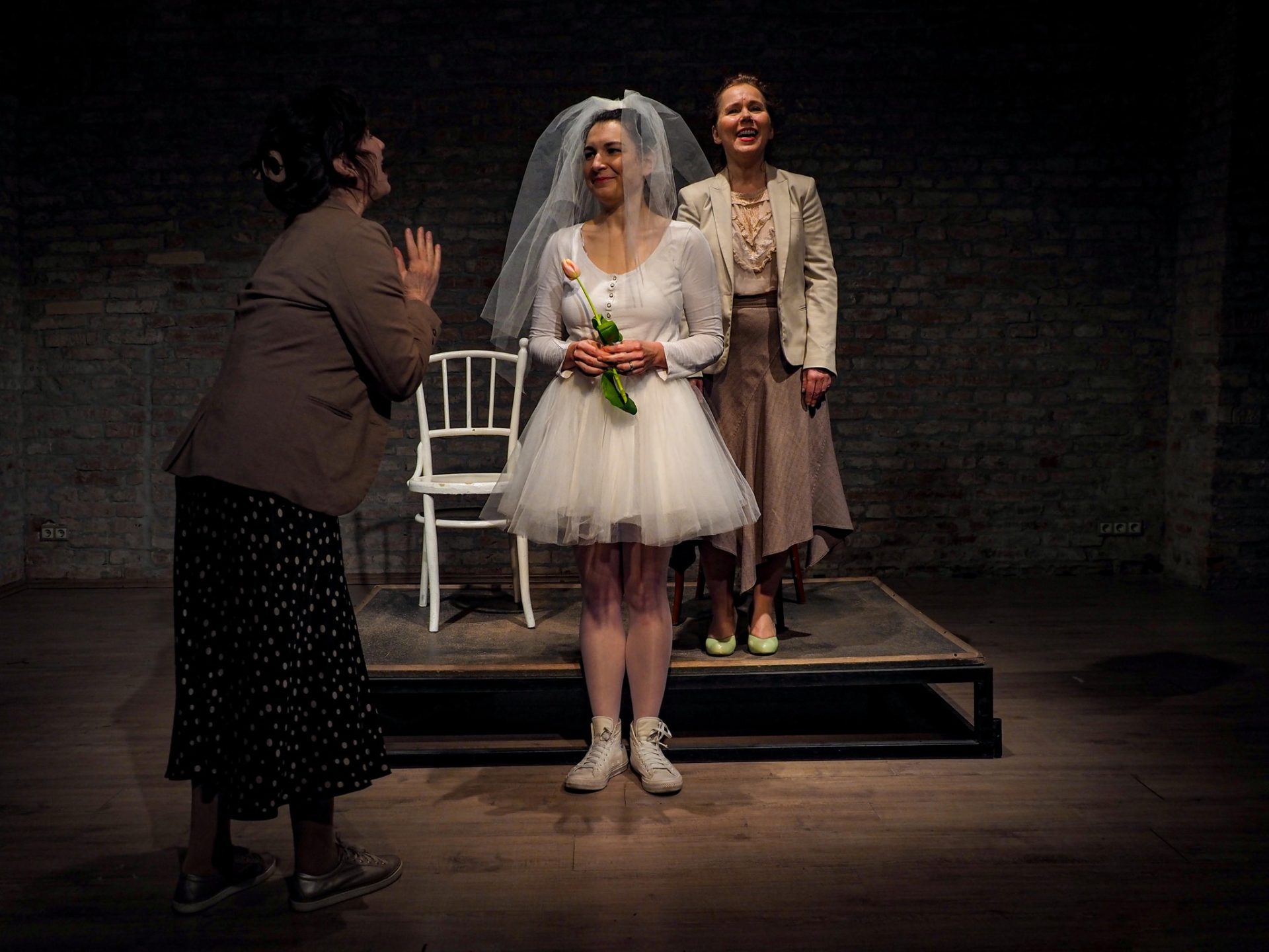 Csábi Anna: Tulipán