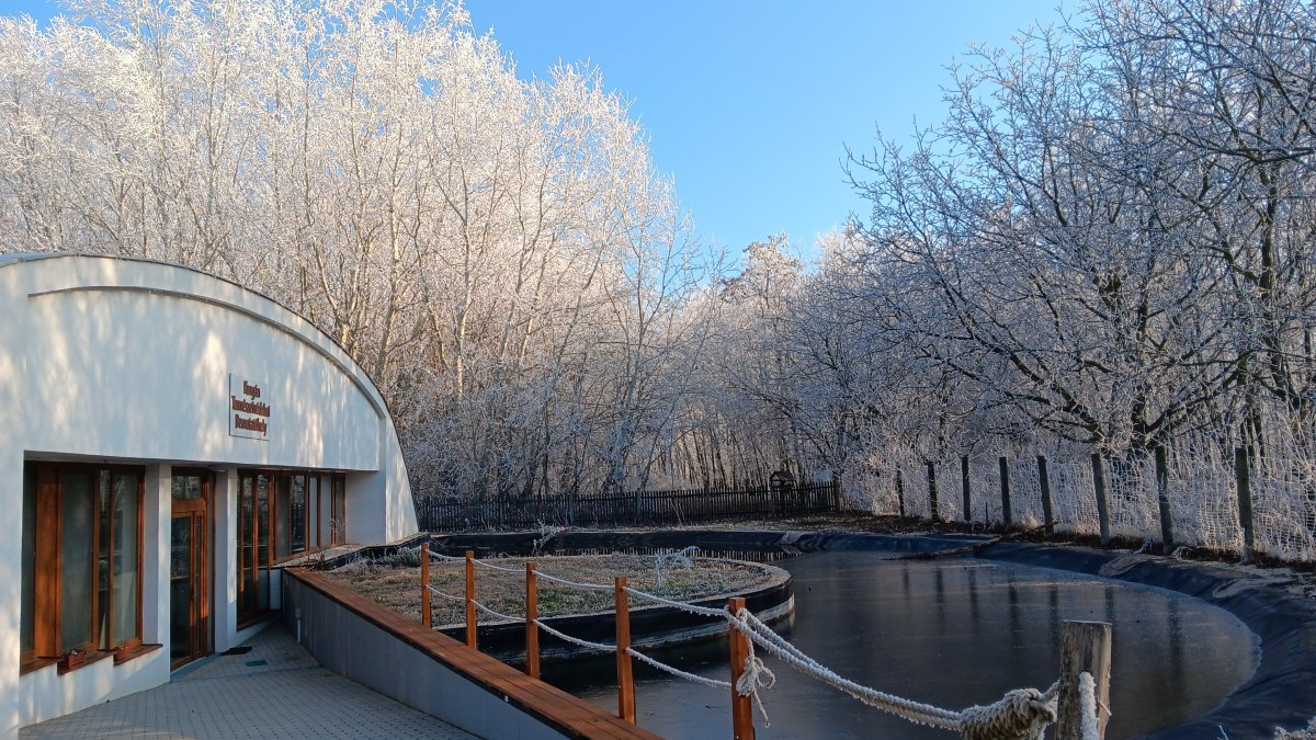 Nagykabátos túra a szegedi Fehér-tónál