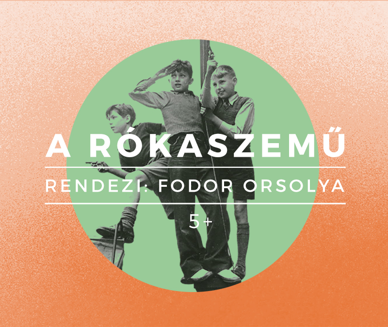 Rókaszemű