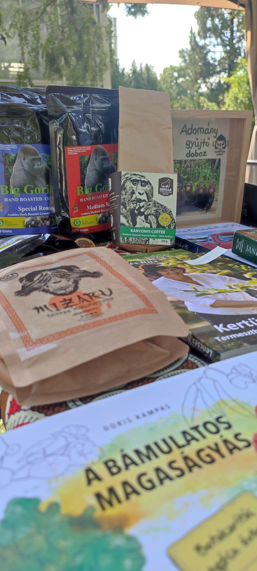 Afrikai és egzotikus növények napja