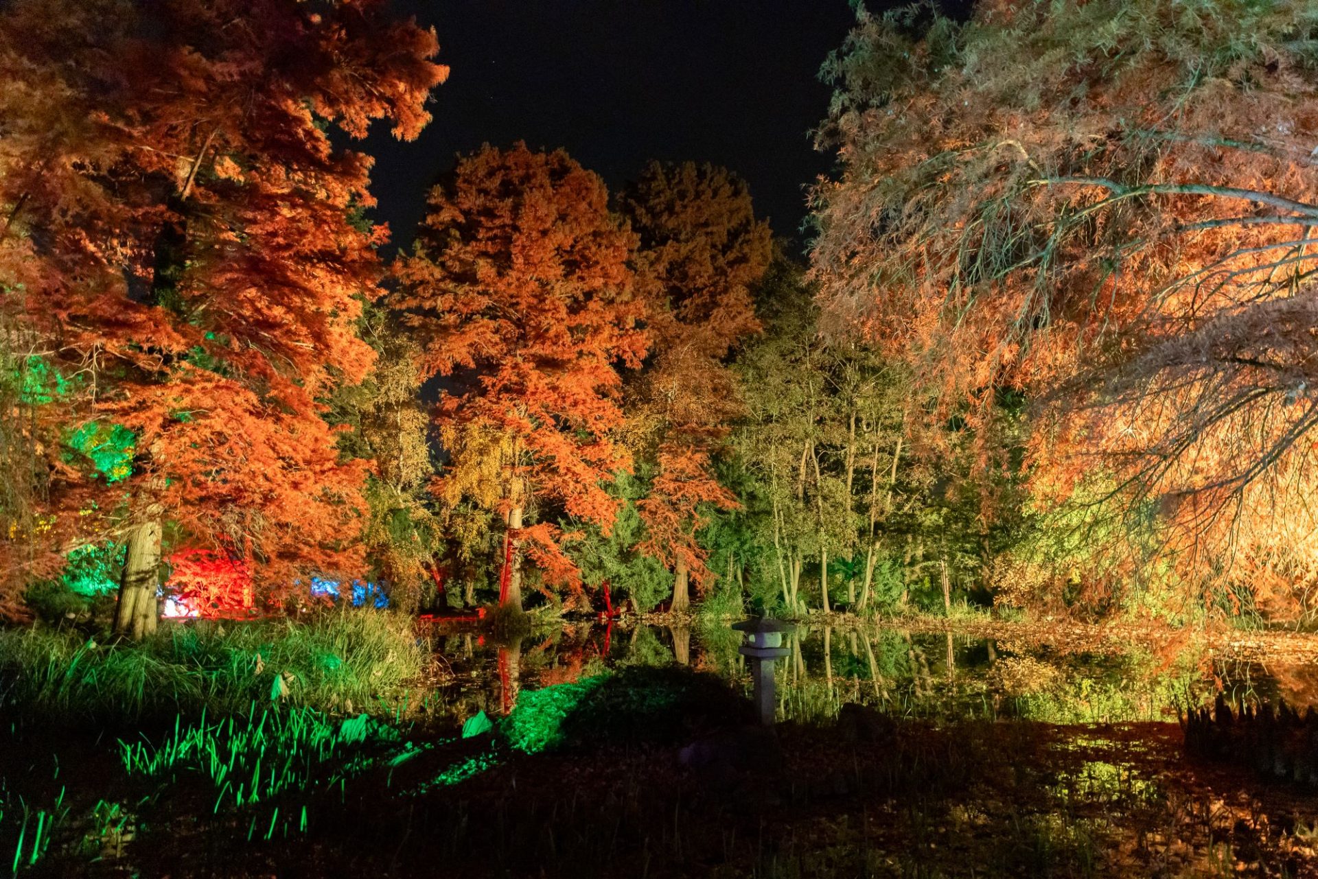Momiji – Gyönyörködés az őszi lombszíneződésben