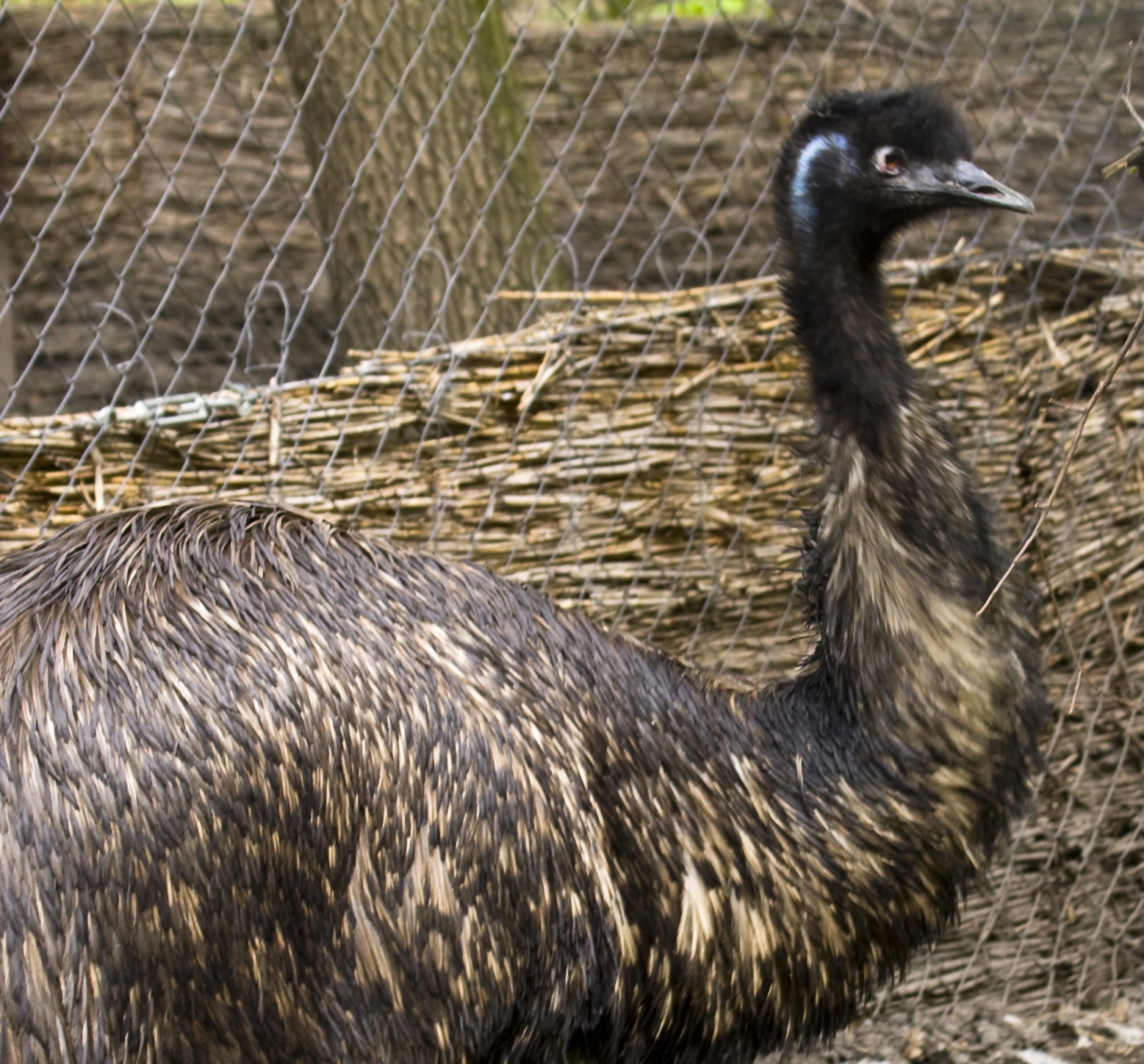 Madarak és fák napja – családi program