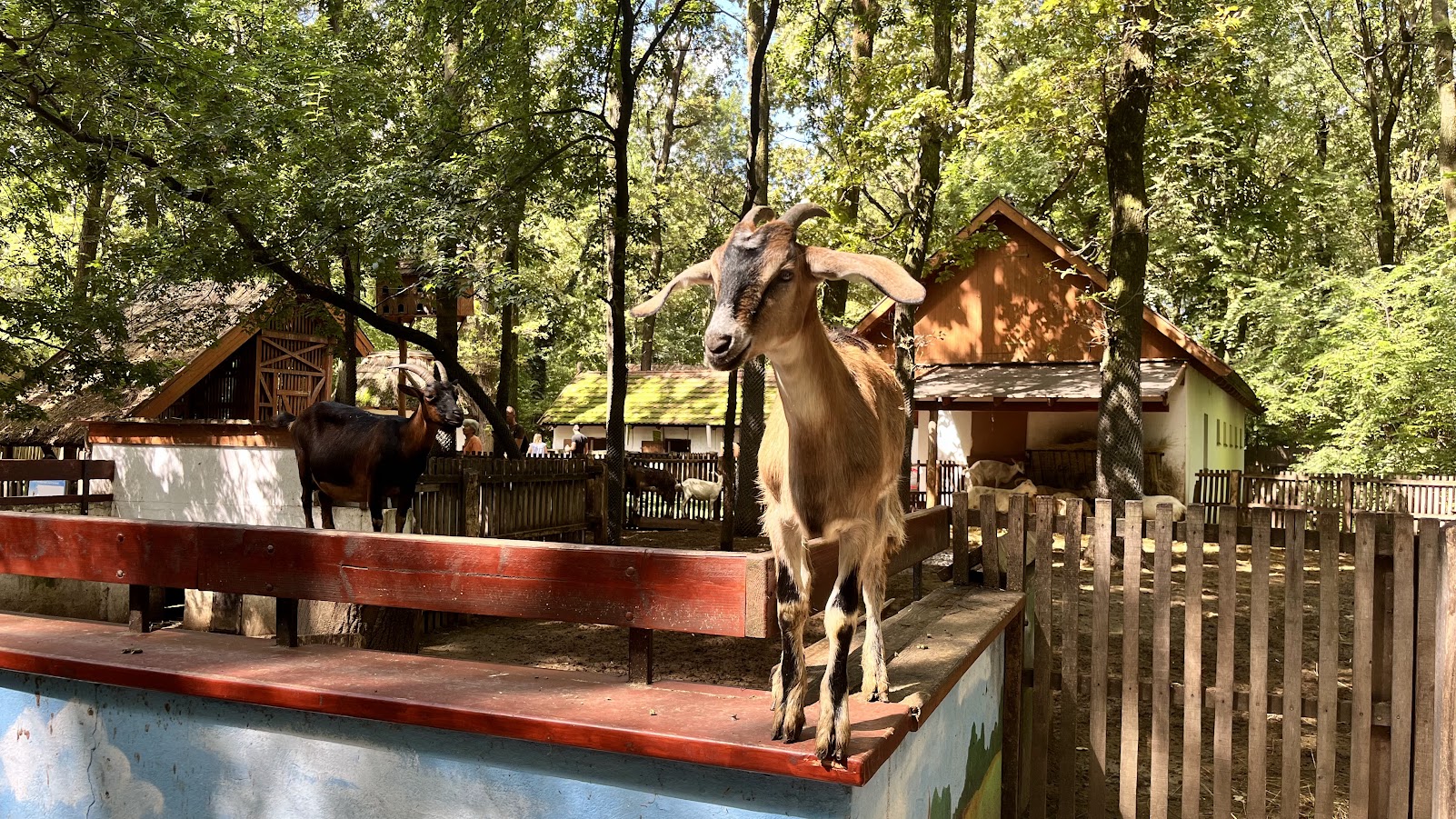 Vakációnyitó – családi nap, pedagógusnap