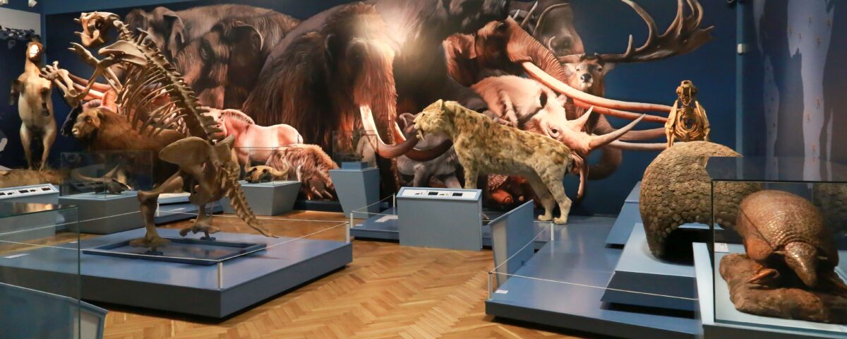 Ajándék tárlatvezetések a jégkorszak kiállításon