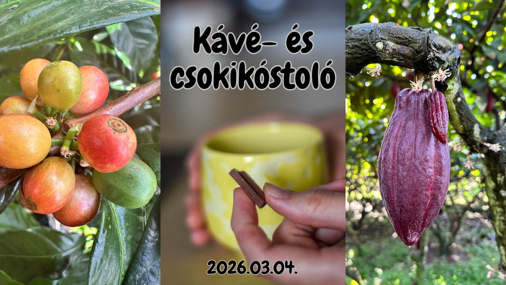 Kávé és csokoládé kóstoló a Kék Elefántban!