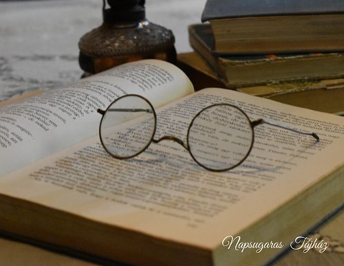 Alsóváros az irodalomban – kultúrséta