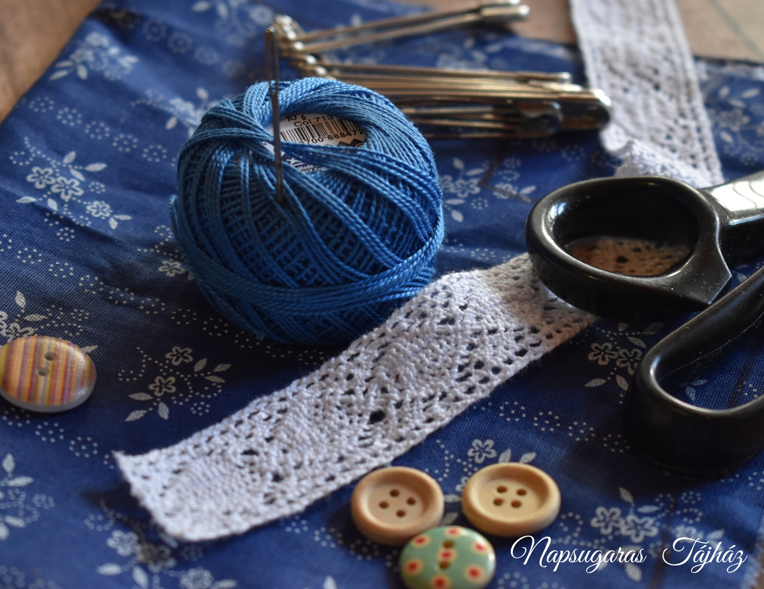 Házi kedvenceink- macska