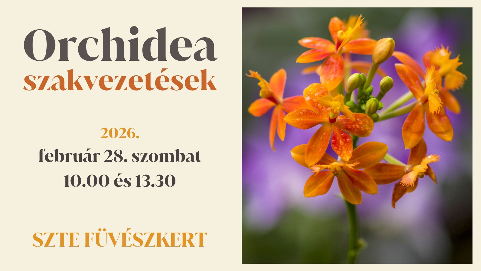 Tematikus szakvezetések az orchidea gyűjteményben