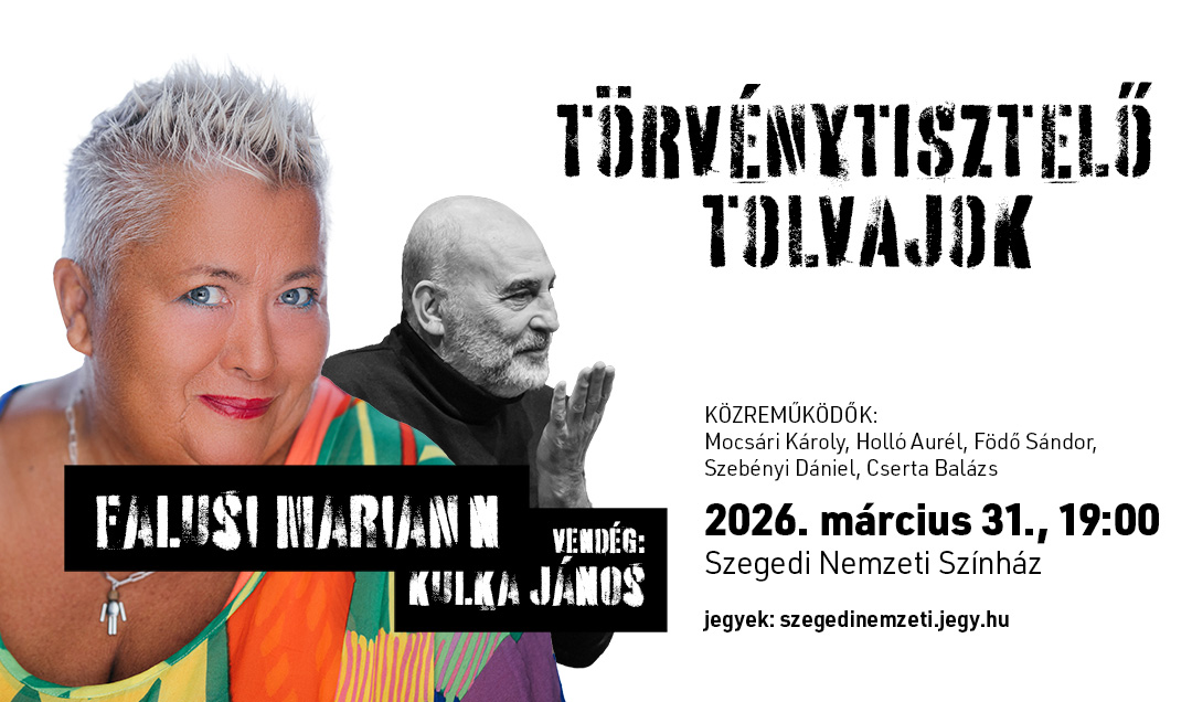 Falusi Mariann: Törvénytisztelő tolvajok