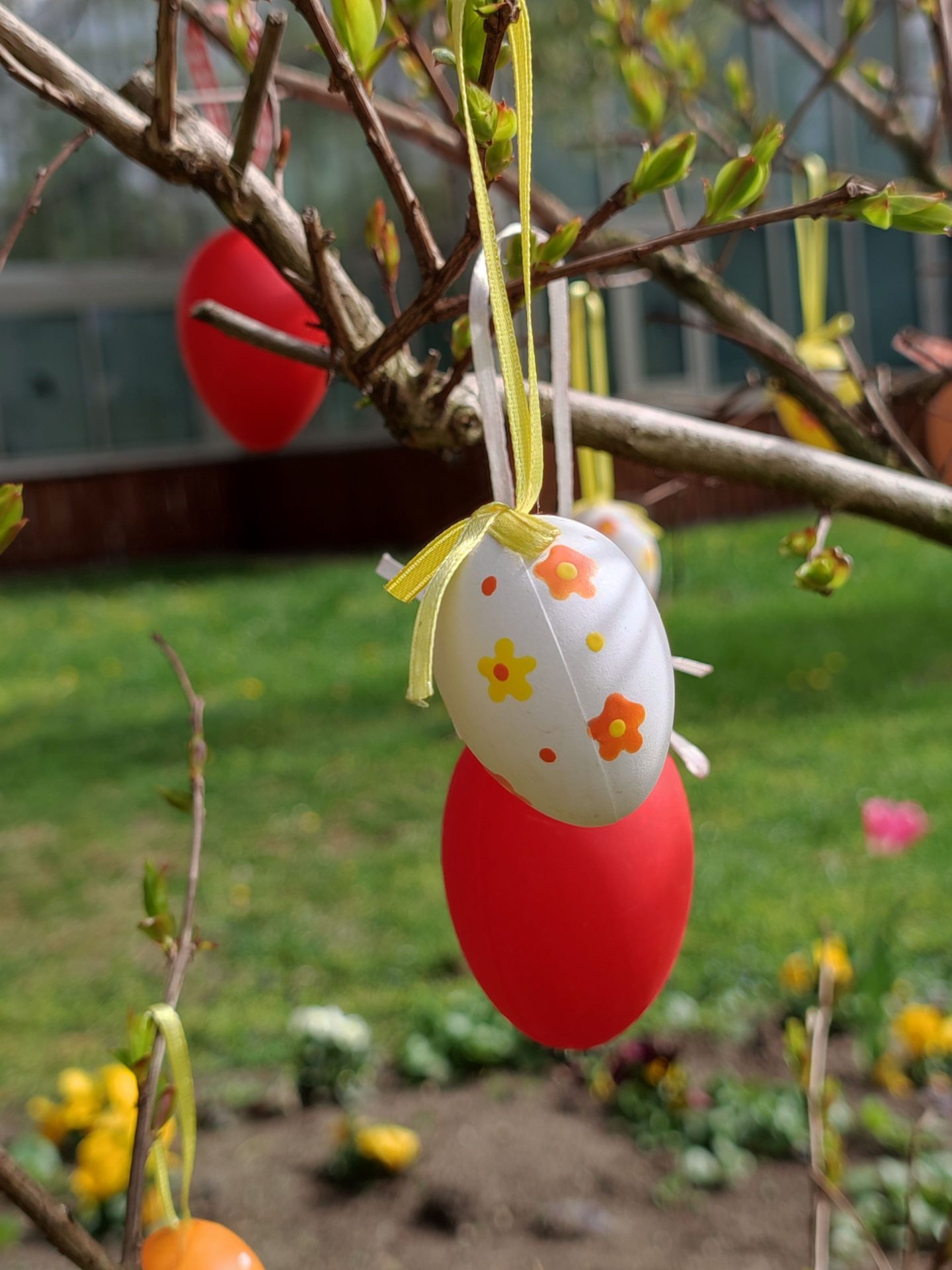 Húsvét a Füvészkertben