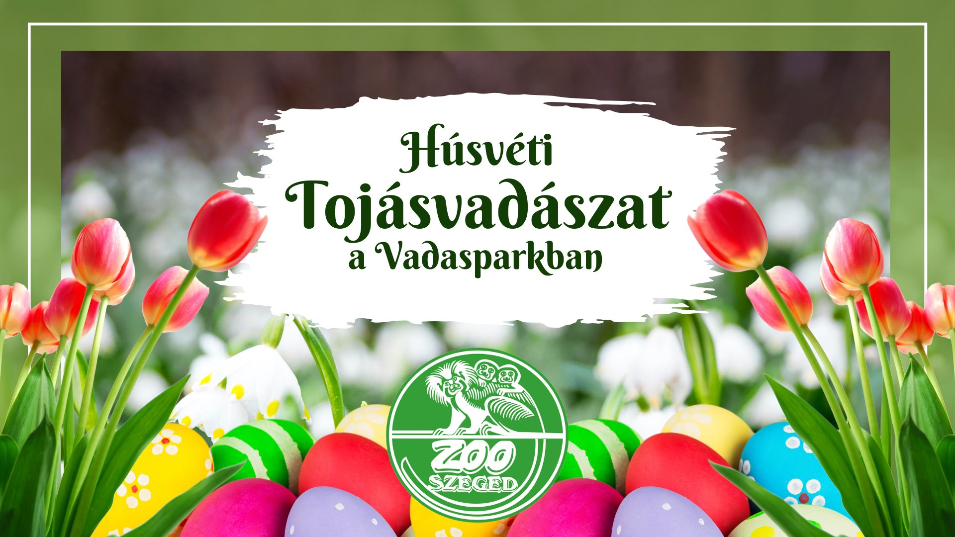 Húsvéti tojásvadászat a Vadasparkban
