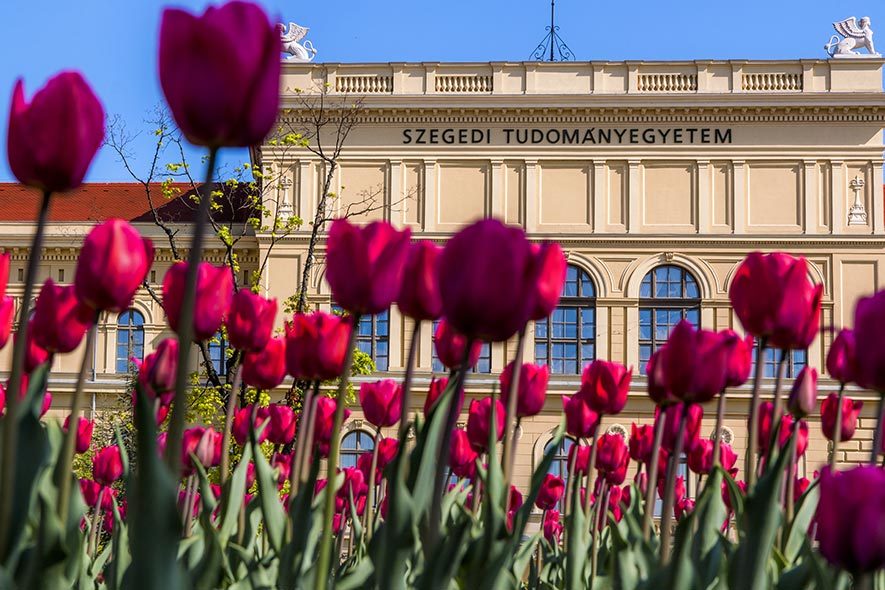 21. Egyetemi Tavasz