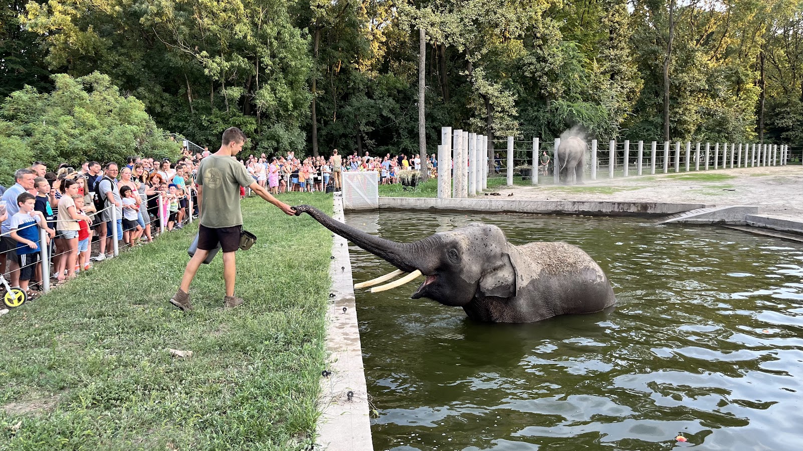 Gyermeknap a Vadasparkban
