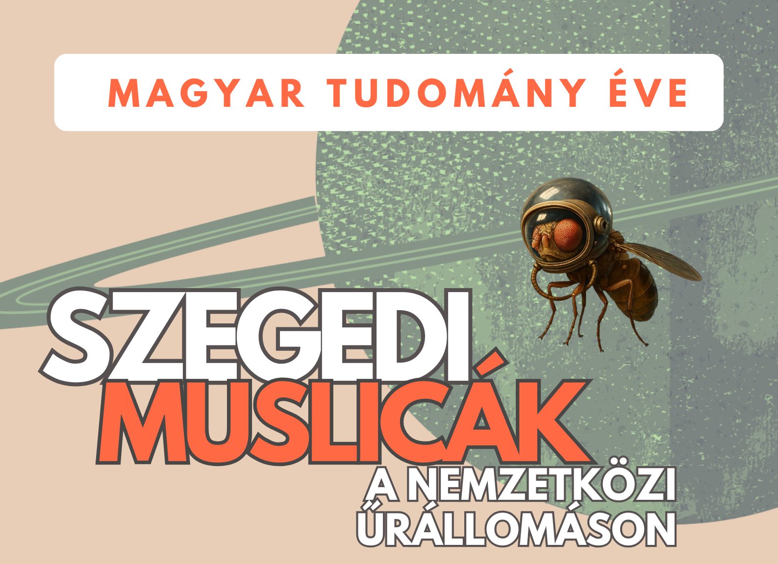 Szegedi muslicák a Nemzetközi Űrállomáson – Előadás a Magyar Tudomány Éve alkalmából