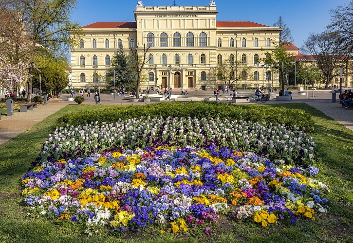 Belvárosi barangoló