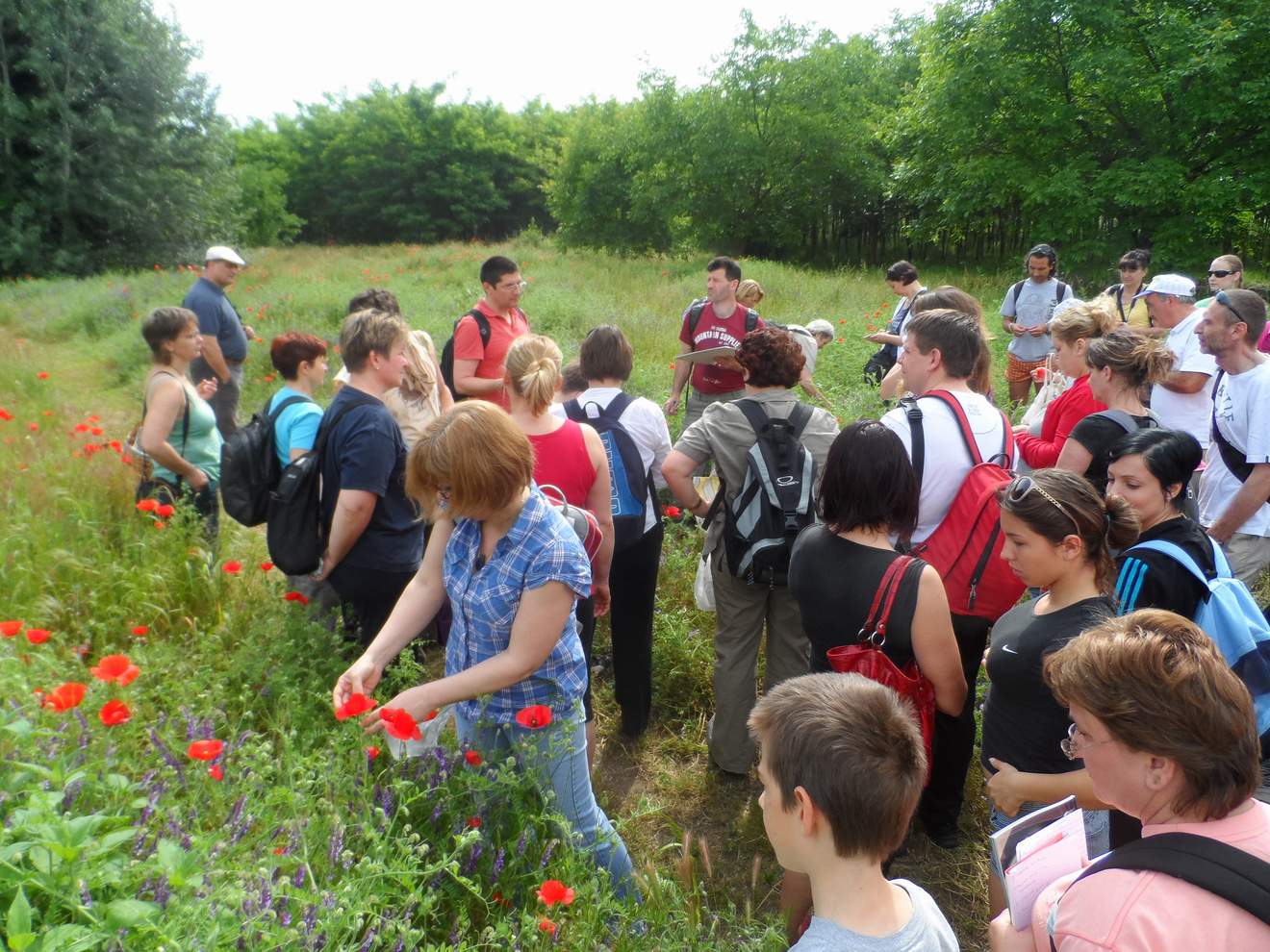 Gyógynövények a szegedi Fehér-tónál 04.19.