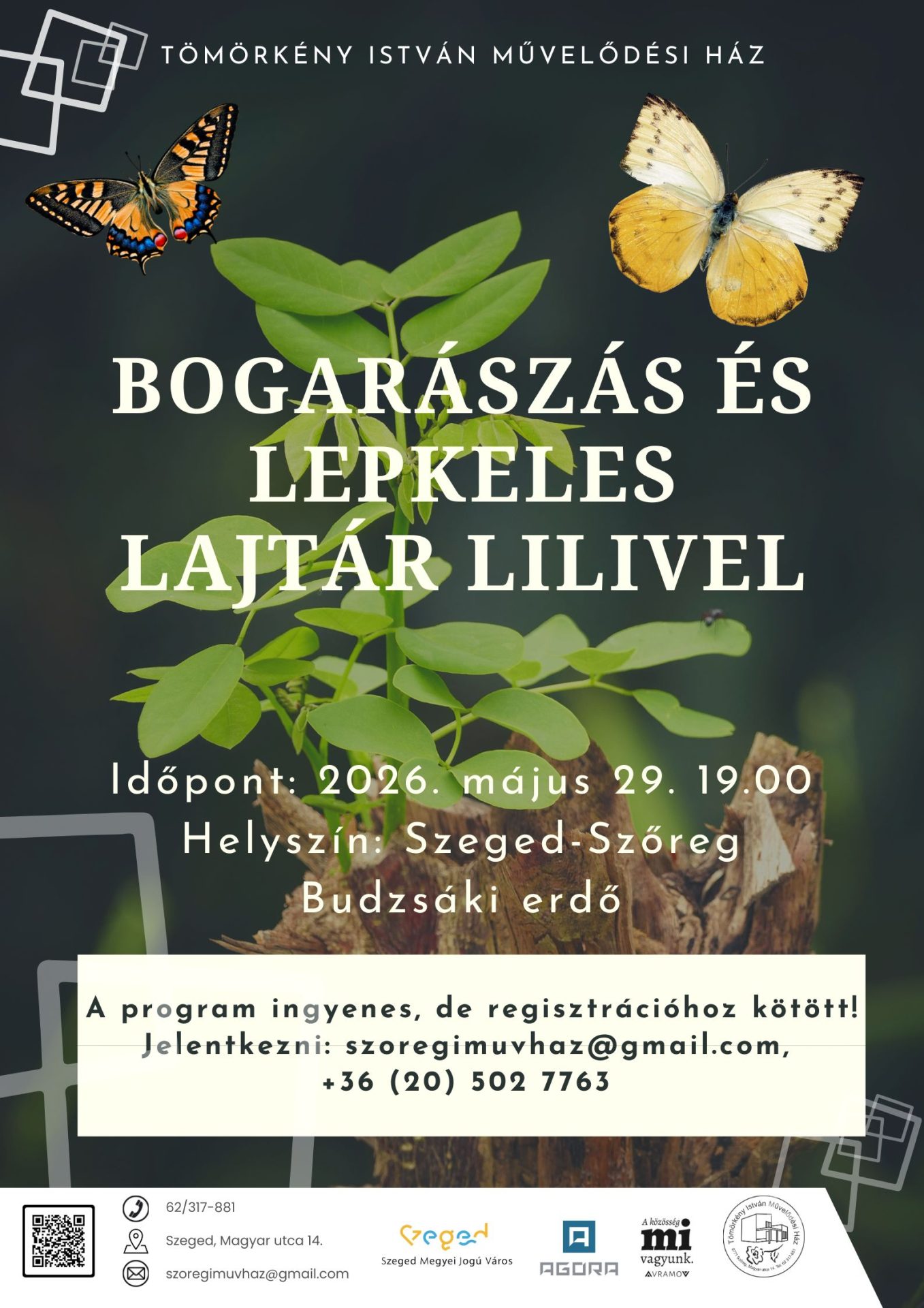Bogarászás és lepkeles Lajtár Lilivel – 2026.