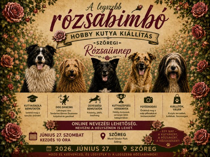 Rózsabimbó hobby kutya kiállítás
