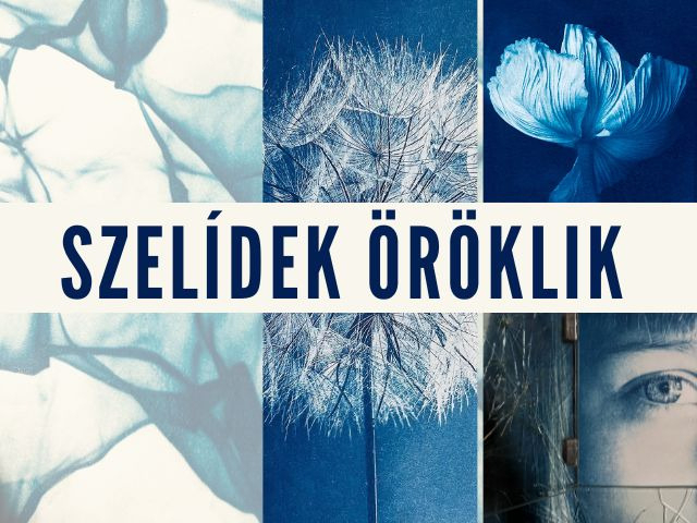 Szelídek öröklik – kiállítás