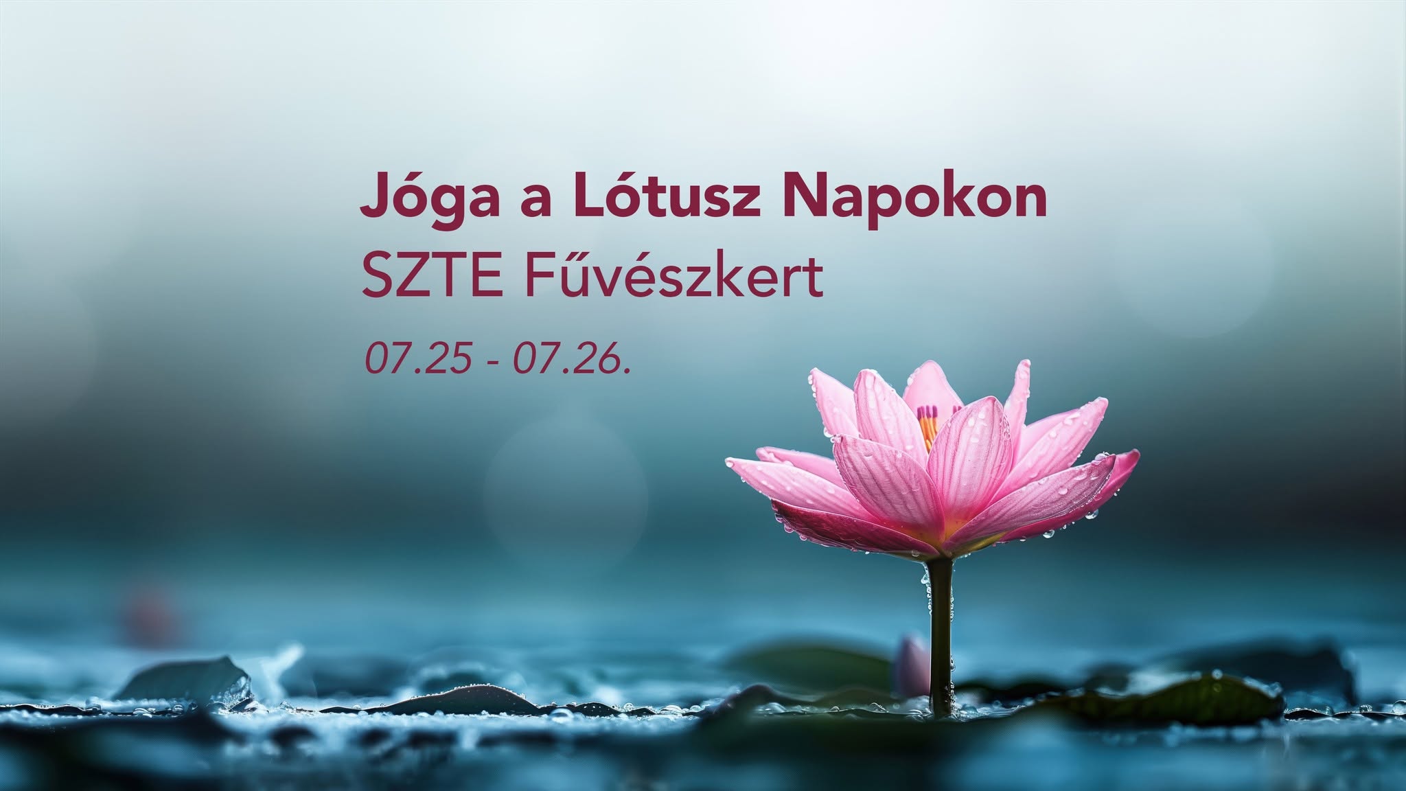 Jóga a Lótusznapokon